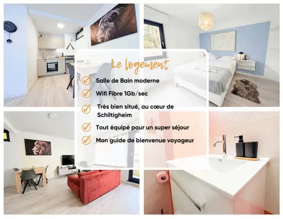 Chic & Cosy Schiltigheim à Schiltigheim, photo 2 sur 21