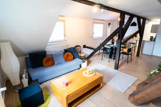 Cosy Du Brasseur à Schiltigheim, photo 3 sur 41