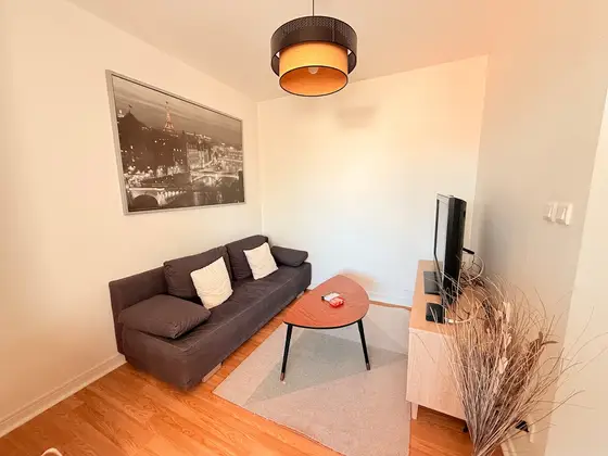 Duplex des tulipes in Haguenau, photo 2 of 38