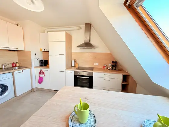 Duplex des tulipes in Haguenau, photo 15 of 38