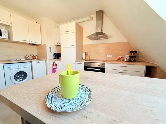 Duplex des tulipes in Haguenau, photo 17 of 38