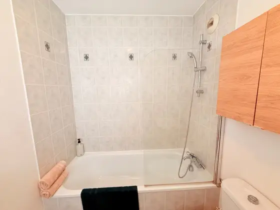 Duplex des tulipes in Haguenau, photo 26 of 38