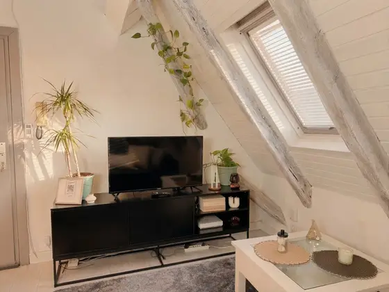 L'Écrin sous les toits in Schiltigheim, photo 9 of 17