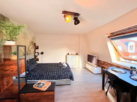L'Escale Haguenauvienne, Haguenau