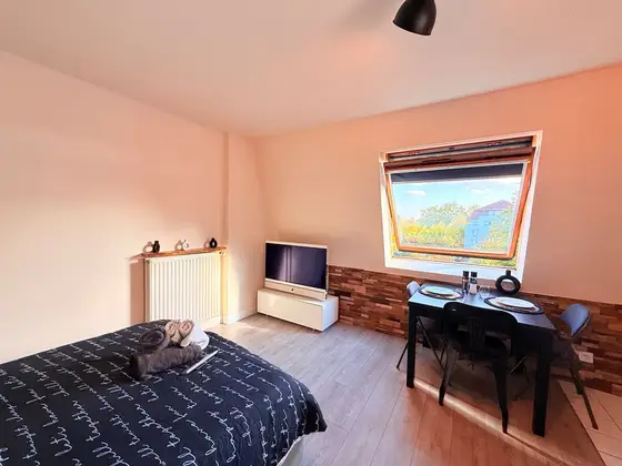L'Escale Haguenauvienne à Haguenau, photo 13 sur 19
