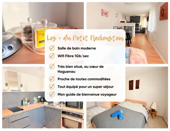Le Petit Fleckenstein à Haguenau, photo 2 sur 38