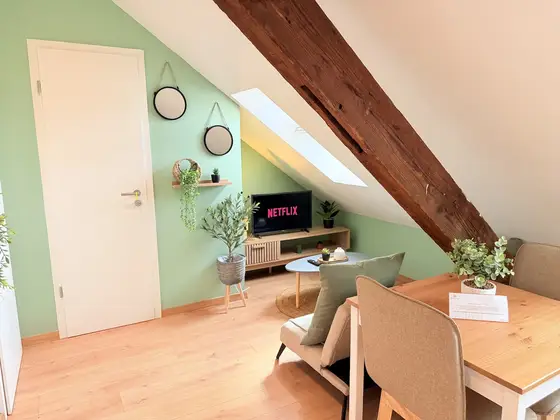 T2 tout confort Schiltigheim, Schiltigheim